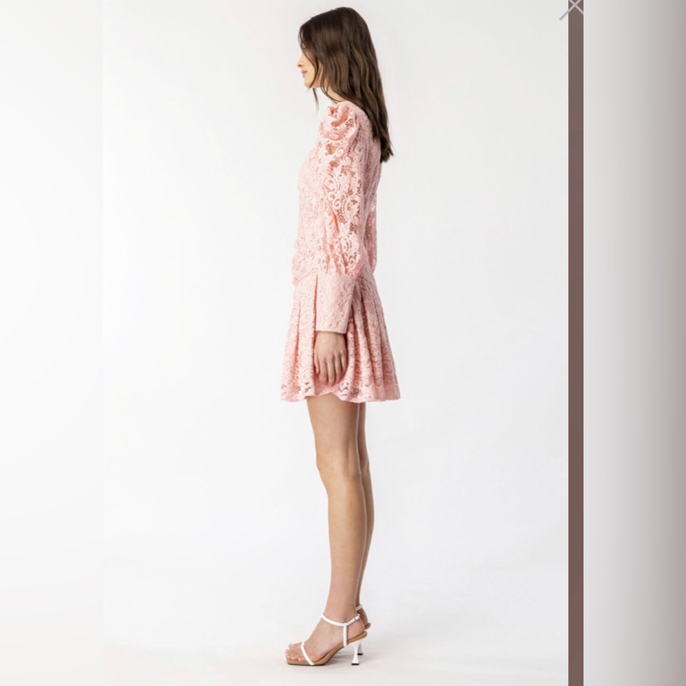 NWT Baby Pink Krina Bardot Dress